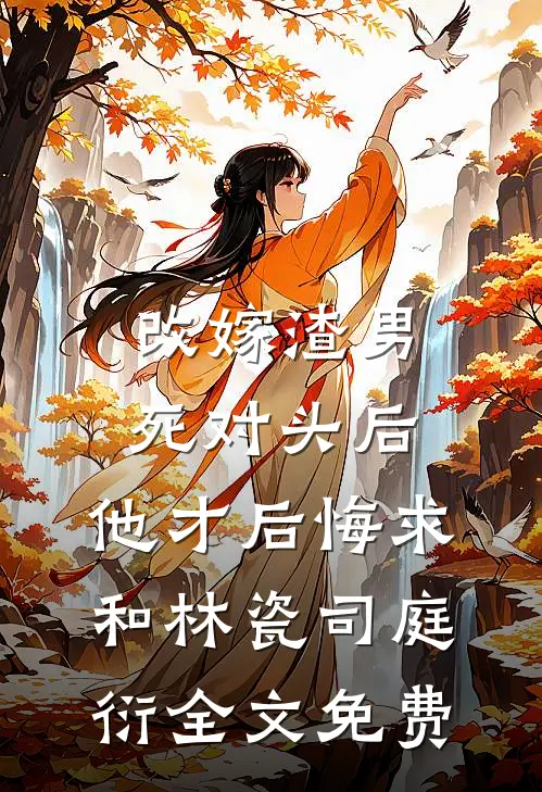 改嫁渣男死对头后，他才后悔求和林瓷司庭衍全文免费