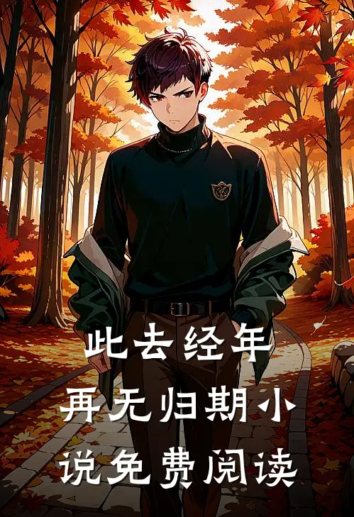 此去经年，再无归期小说免费阅读